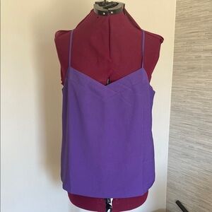 NWT J. Crew Factory Purple Tank Top (Size 6)